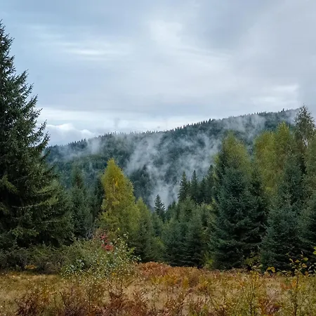 Bilyi Slon Gadzhyna Inn *