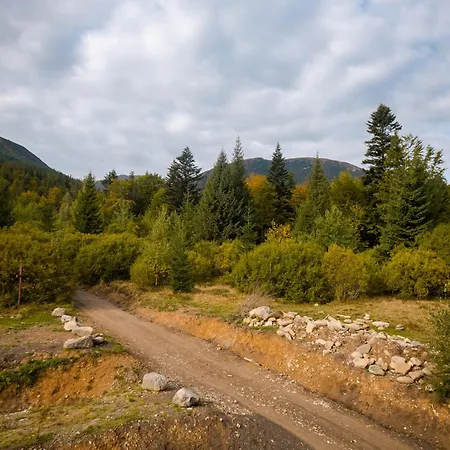 Inn Bilyi Slon Gadzhyna Velykyi Khodak